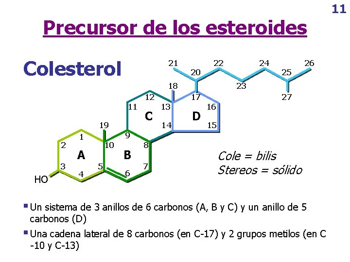 Precursor de los esteroides Colesterol 21 20 22 11 19 2 3 HO 4