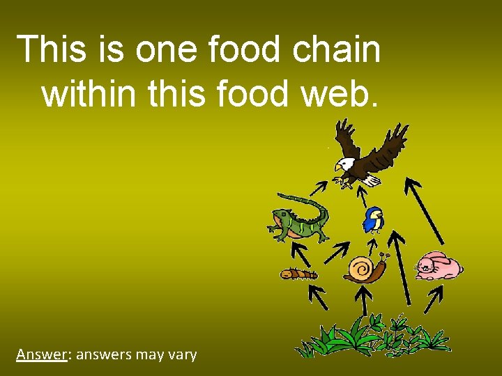 This is one food chain within this food web. Answer: answers may vary 