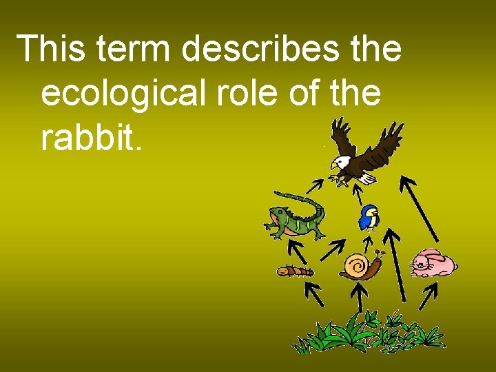 This term describes the ecological role of the rabbit. 