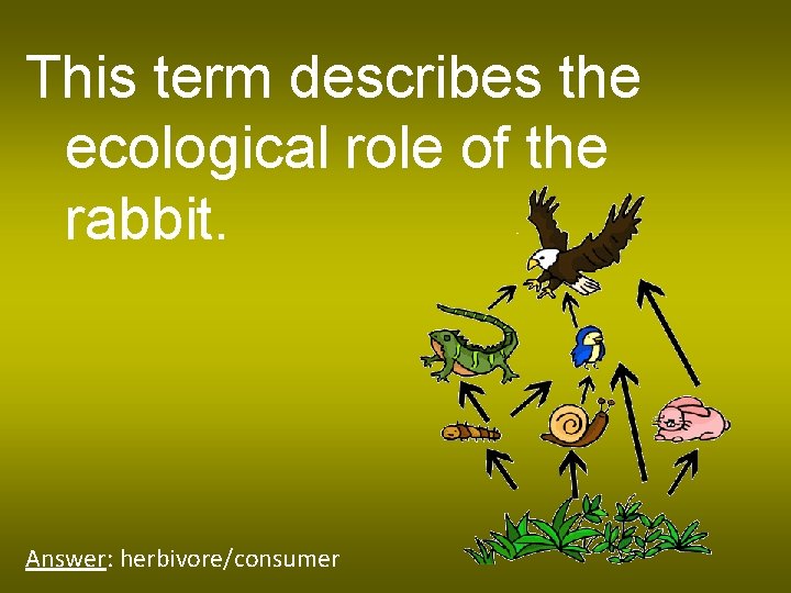 This term describes the ecological role of the rabbit. Answer: herbivore/consumer 