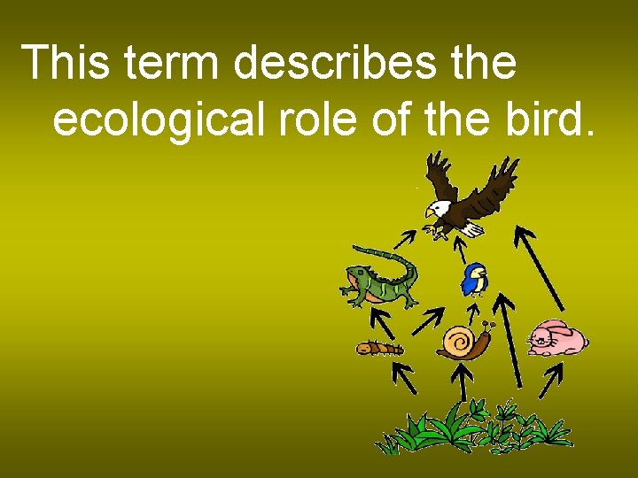 This term describes the ecological role of the bird. 