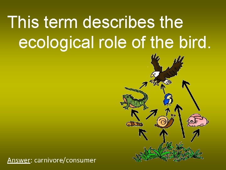 This term describes the ecological role of the bird. Answer: carnivore/consumer 