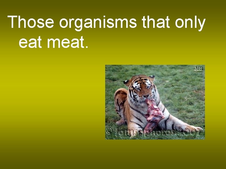 Those organisms that only eat meat. 