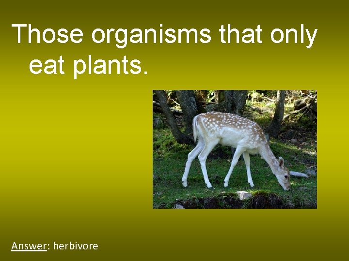 Those organisms that only eat plants. Answer: herbivore 