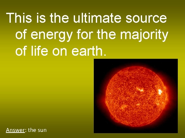 This is the ultimate source of energy for the majority of life on earth.