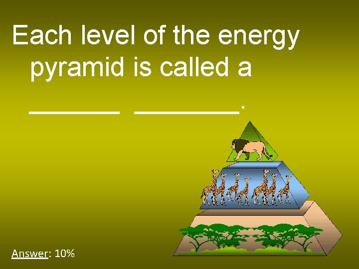Each level of the energy pyramid is called a _______. Answer: 10% 