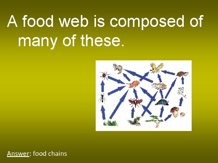 A food web is composed of many of these. Answer: food chains 