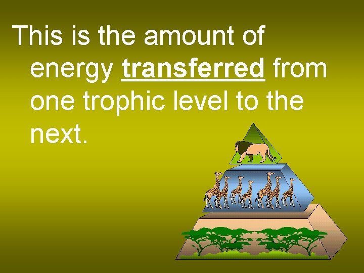 This is the amount of energy transferred from one trophic level to the next.