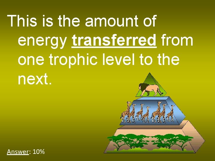 This is the amount of energy transferred from one trophic level to the next.