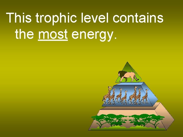 This trophic level contains the most energy. 