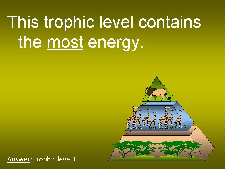 This trophic level contains the most energy. Answer: trophic level I 