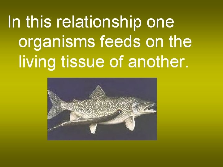 In this relationship one organisms feeds on the living tissue of another. 