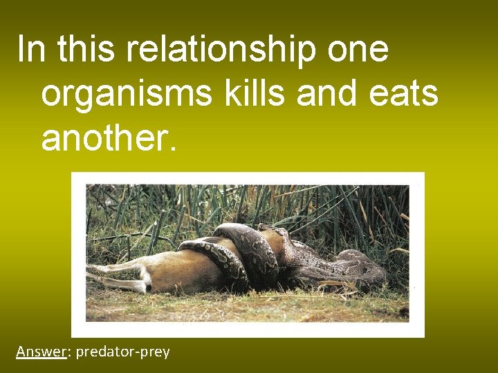 In this relationship one organisms kills and eats another. Answer: predator-prey 