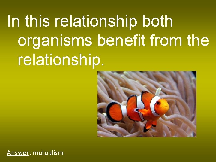 In this relationship both organisms benefit from the relationship. Answer: mutualism 
