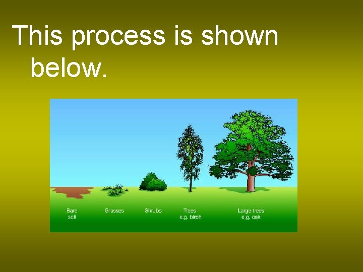 This process is shown below. 