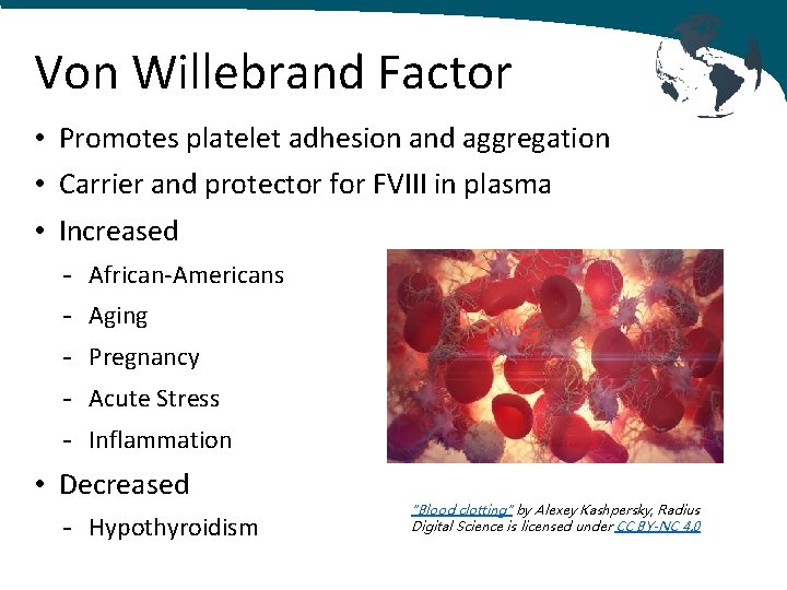 Von Willebrand Factor • Promotes platelet adhesion and aggregation • Carrier and protector for