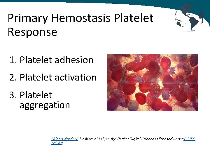Primary Hemostasis Platelet Response 1. Platelet adhesion 2. Platelet activation 3. Platelet aggregation "Blood