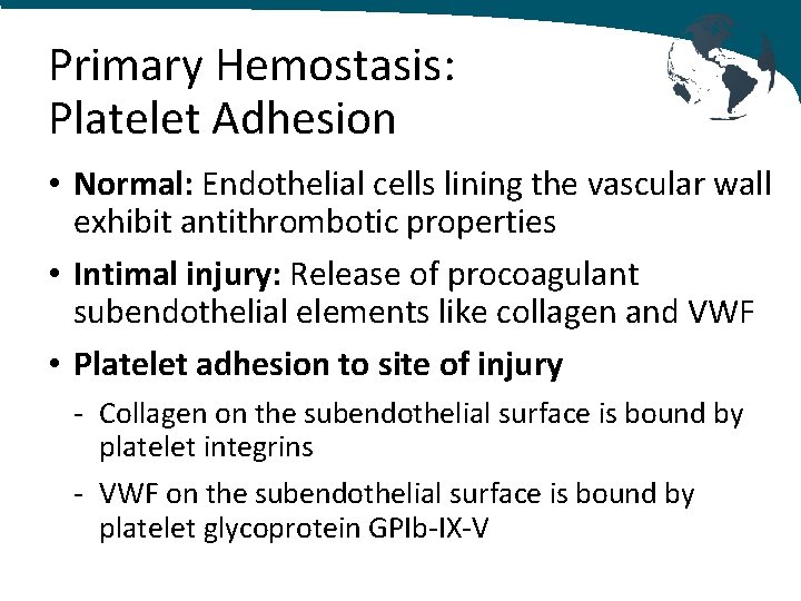 Primary Hemostasis: Platelet Adhesion • Normal: Endothelial cells lining the vascular wall exhibit antithrombotic