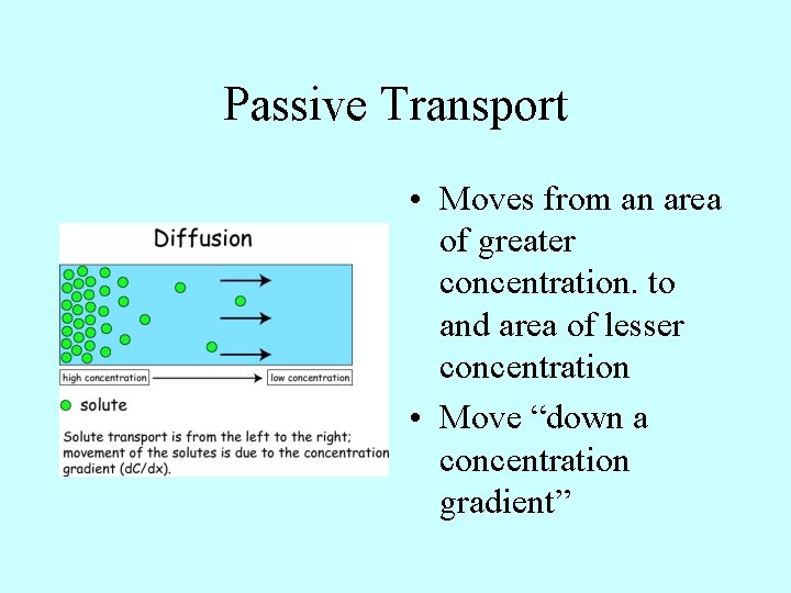 Passive Transport • Moves from an area of greater concentration. to and area of