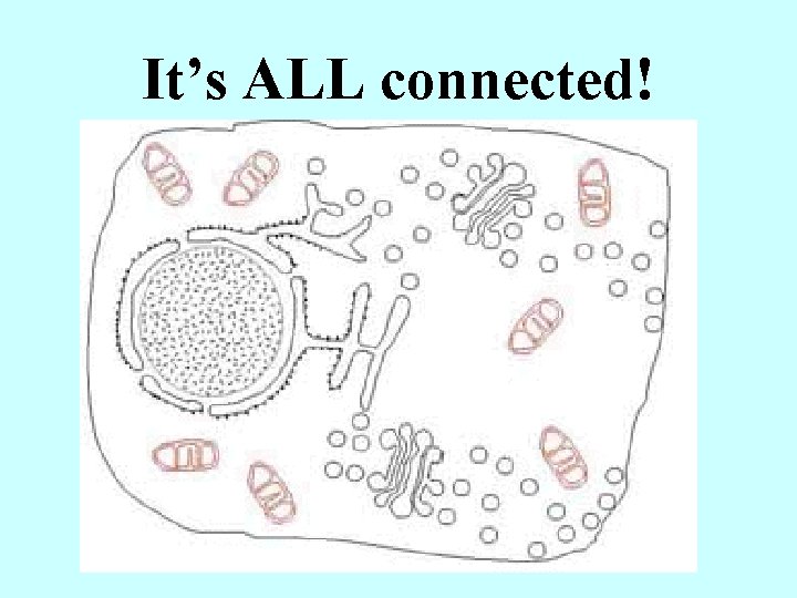 It’s ALL connected! 