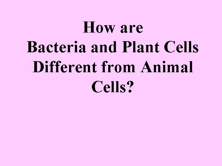 How are Bacteria and Plant Cells Different from Animal Cells? 