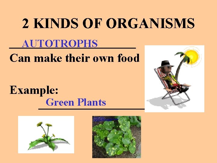 2 KINDS OF ORGANISMS ___________ AUTOTROPHS Can make their own food Example: Green Plants