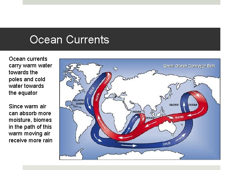Ocean Currents Ocean currents carry warm water towards the poles and cold water towards