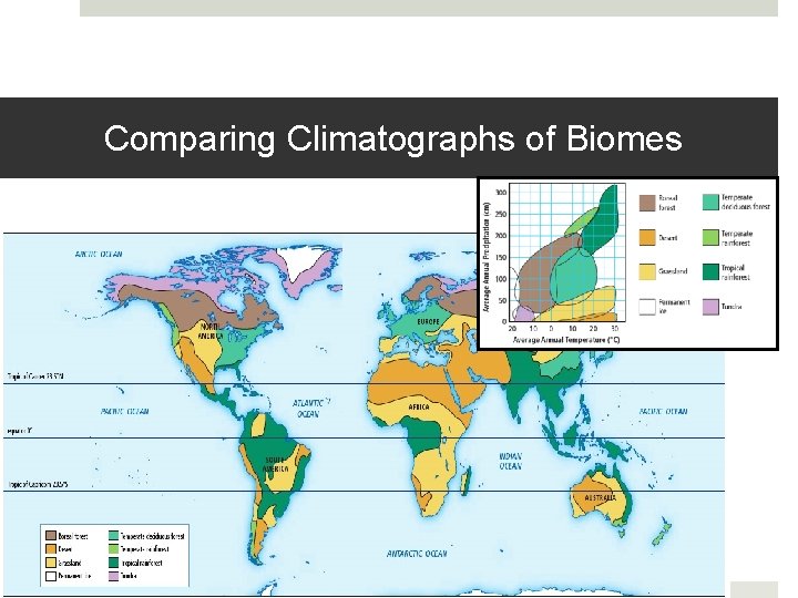 Comparing Climatographs of Biomes 
