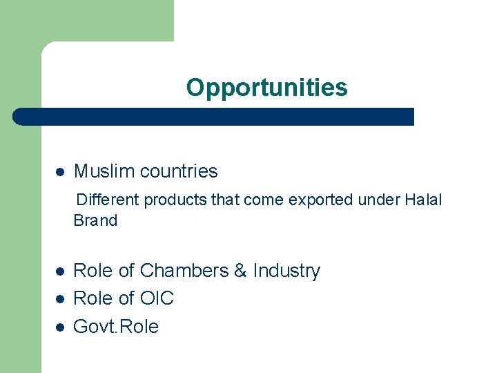 Opportunities l Muslim countries Different products that come exported under Halal Brand l l