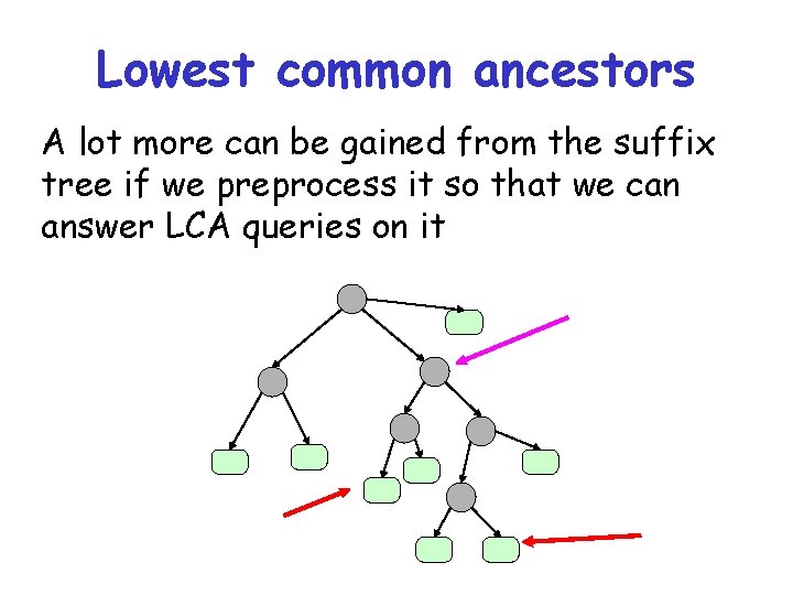Lowest common ancestors A lot more can be gained from the suffix tree if