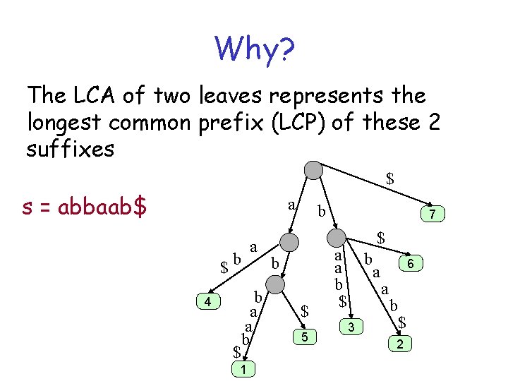 Why? The LCA of two leaves represents the longest common prefix (LCP) of these