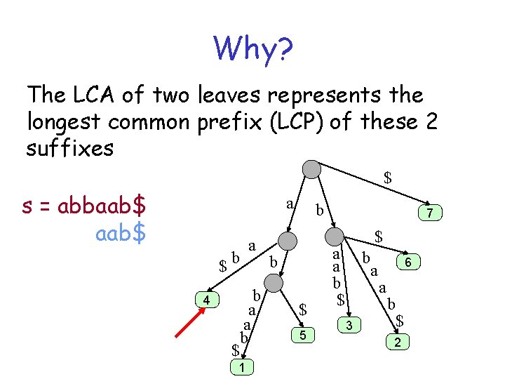 Why? The LCA of two leaves represents the longest common prefix (LCP) of these