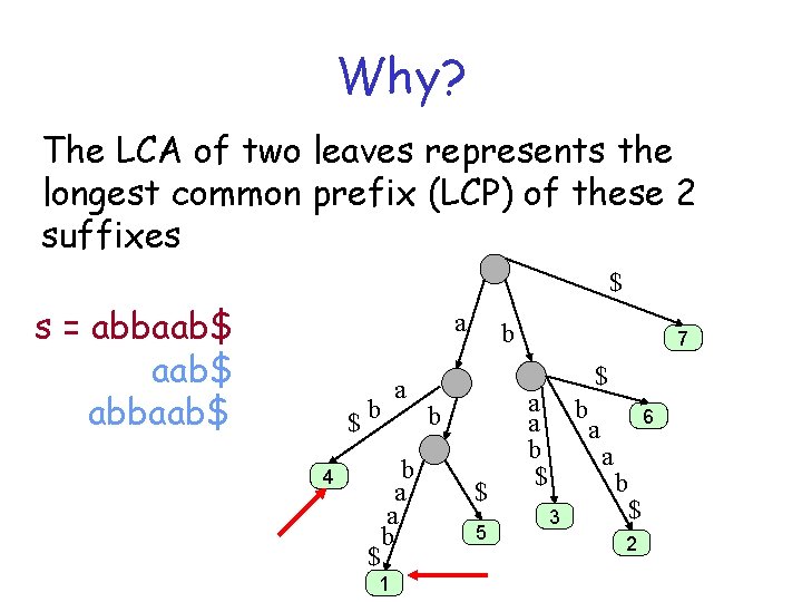 Why? The LCA of two leaves represents the longest common prefix (LCP) of these