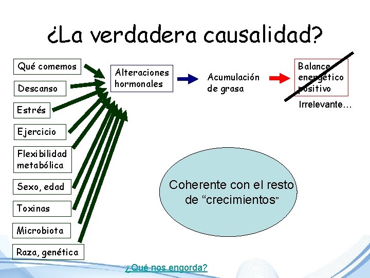 ¿La verdadera causalidad? Qué comemos Descanso Alteraciones hormonales Acumulación de grasa Irrelevante… Estrés Ejercicio