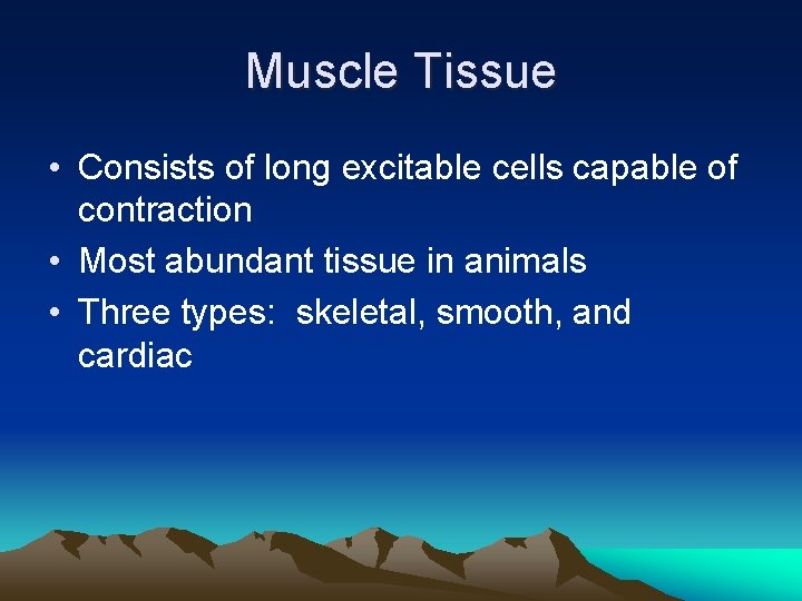Muscle Tissue • Consists of long excitable cells capable of contraction • Most abundant