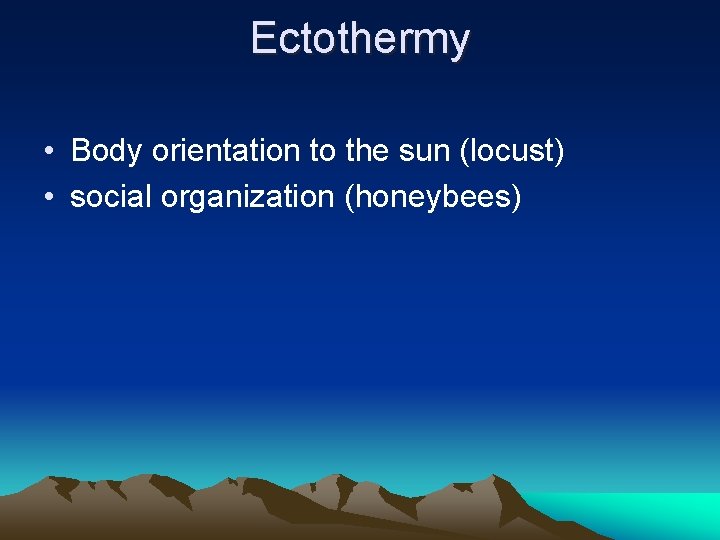 Ectothermy • Body orientation to the sun (locust) • social organization (honeybees) 