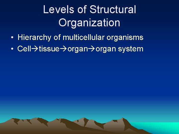 Levels of Structural Organization • Hierarchy of multicellular organisms • Cell tissue organ system