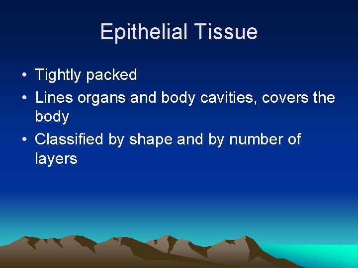 Epithelial Tissue • Tightly packed • Lines organs and body cavities, covers the body
