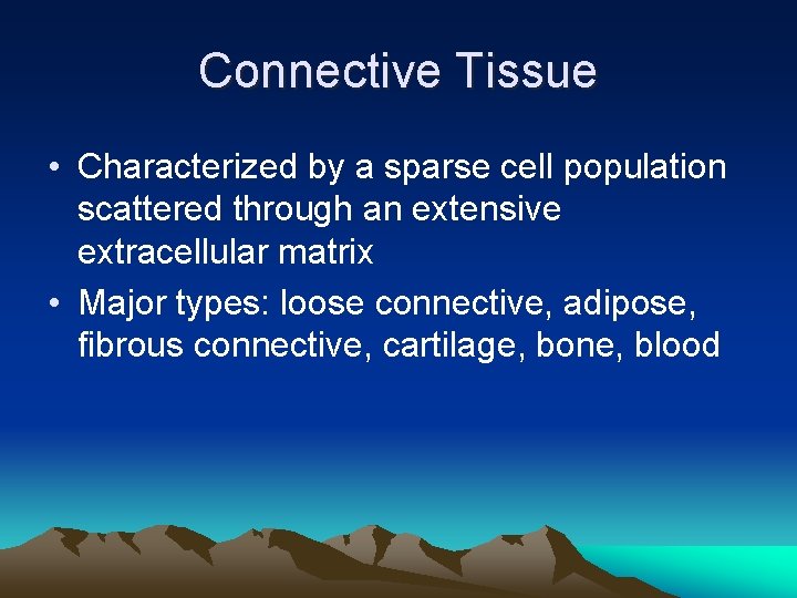 Connective Tissue • Characterized by a sparse cell population scattered through an extensive extracellular