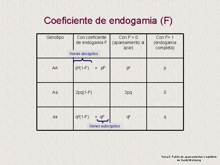 Coeficiente de endogamia (F) Genotipo Con coeficiente de endogamia F Con F = 0