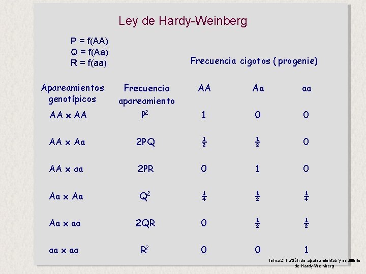 Ley de Hardy-Weinberg P = f(AA) Q = f(Aa) R = f(aa) Apareamientos genotípicos