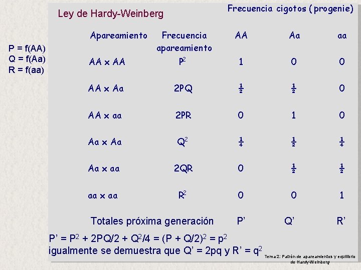 Frecuencia cigotos ( progenie) Ley de Hardy-Weinberg Apareamiento P = f(AA) Q = f(Aa)