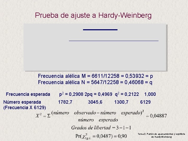 Prueba de ajuste a Hardy-Weinberg Frecuencia alélica M = 6611/12258 = 0, 53932 =