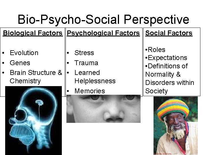 Bio-Psycho-Social Perspective Biological Factors Psychological Factors Social Factors • Evolution • Stress • Genes