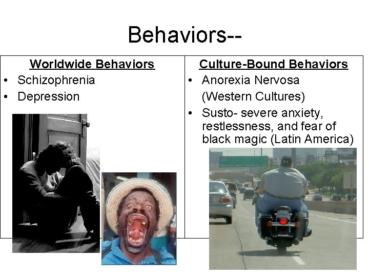 Behaviors-Worldwide Behaviors • Schizophrenia • Depression Culture-Bound Behaviors • Anorexia Nervosa (Western Cultures) •
