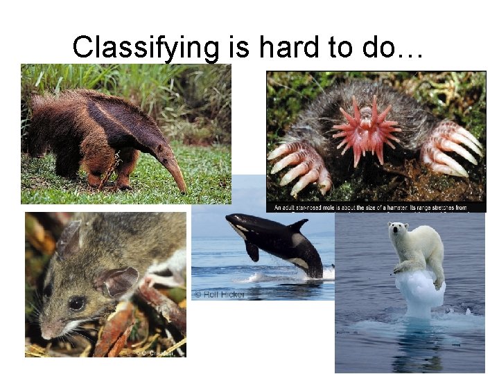 Classifying is hard to do… 
