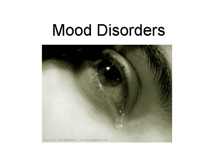 Mood Disorders 