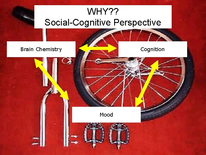 WHY? ? Social-Cognitive Perspective Brain Chemistry Cognition Mood 