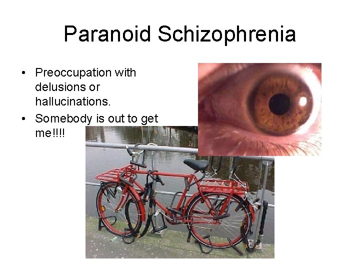 Paranoid Schizophrenia • Preoccupation with delusions or hallucinations. • Somebody is out to get