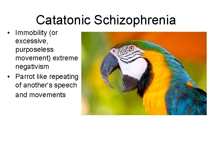 Catatonic Schizophrenia • Immobility (or excessive, purposeless movement) extreme negativism • Parrot like repeating